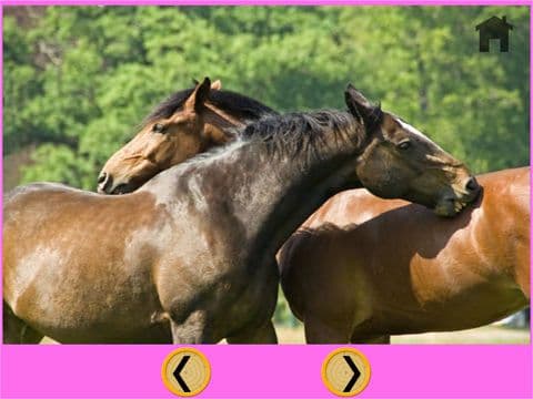 verry funny horses for kids - free screenshot 2