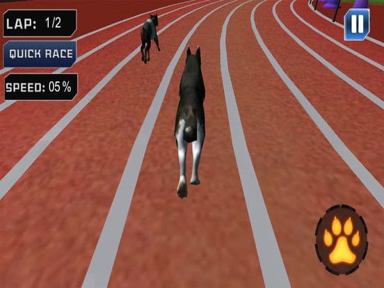 Extreme Crazy Dog Race 3D 2018