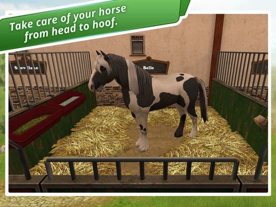 HorseWorld: My Riding Horse screenshot 2