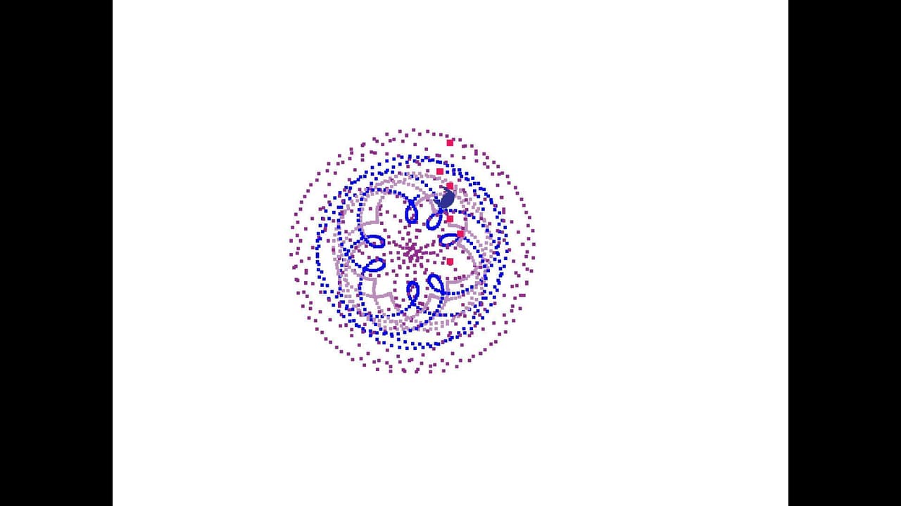 Rosette simulator screenshot 4