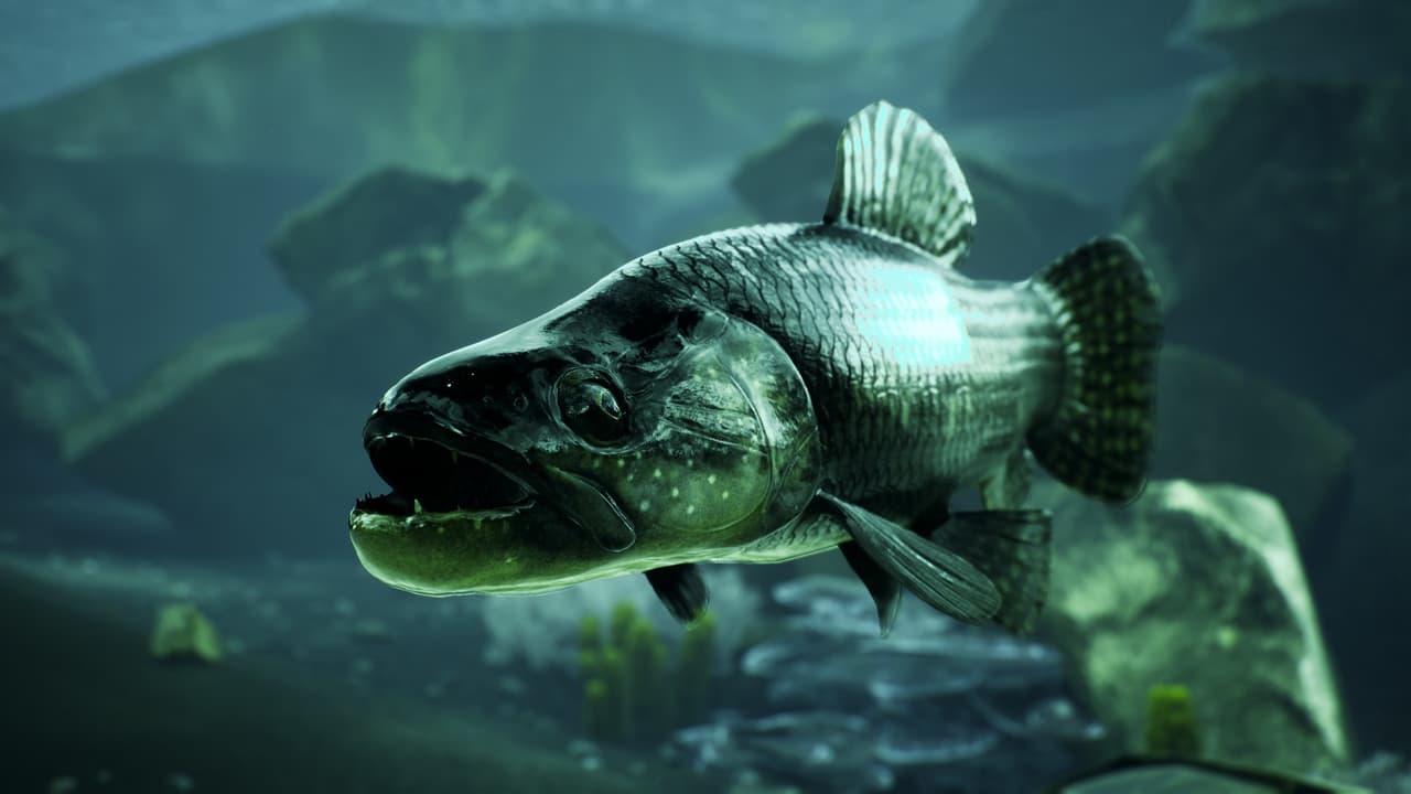 The Catch: Carp & Coarse screenshot 3