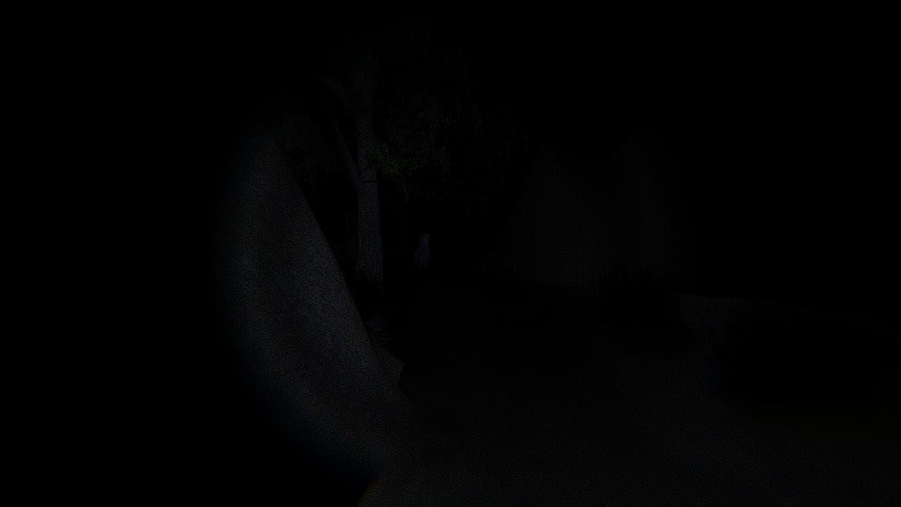 Shoebill Nightmare screenshot 5