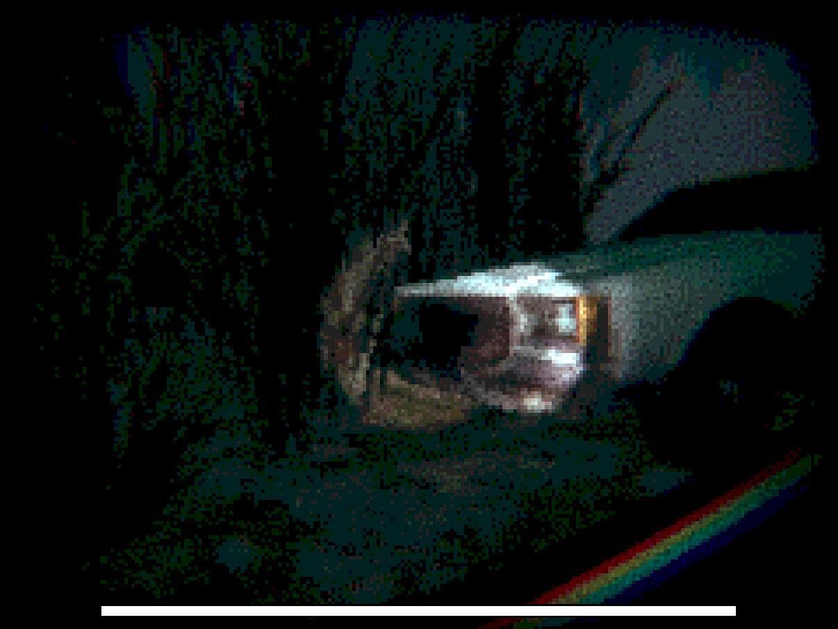 DEEPDOOR screenshot 2