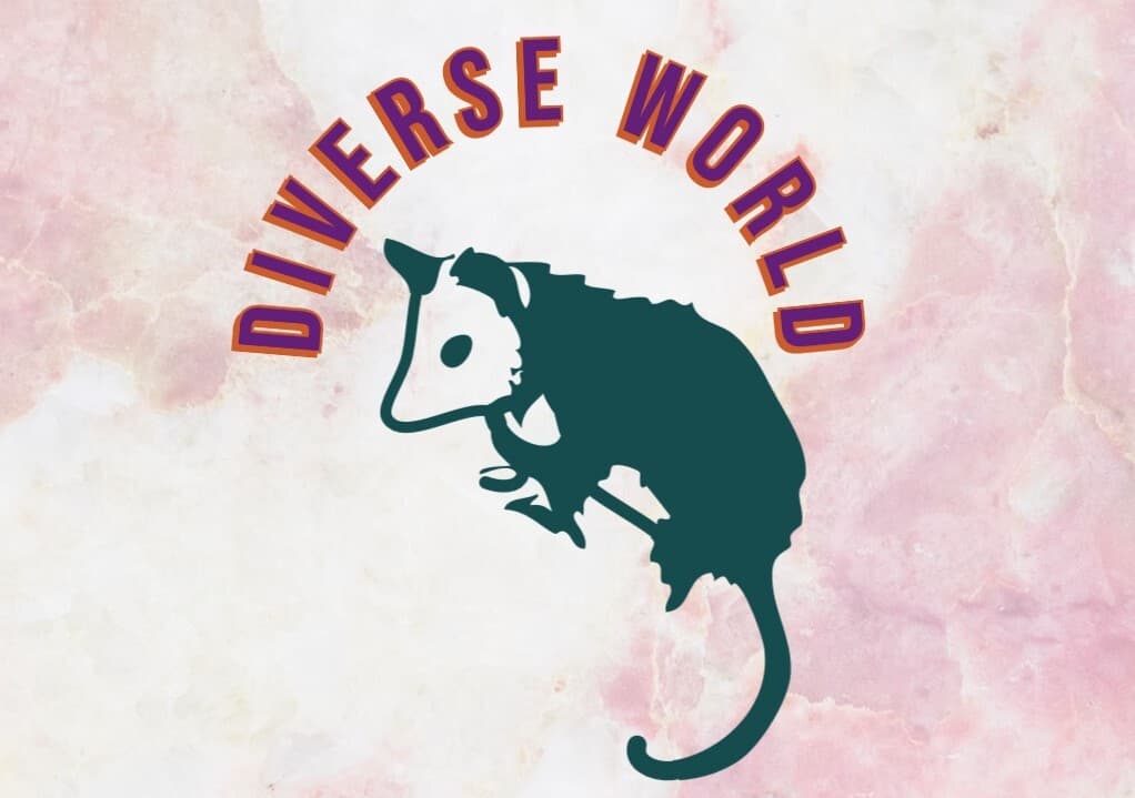DiverseWorld