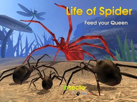 Life Of Spider screenshot 2