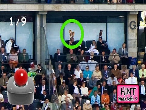 Kitty in the Crowd