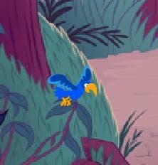 Pirate Parrot