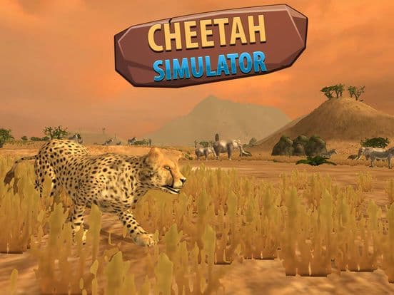 African Cheetah: Wild Animal Simulator 3D screenshot 4