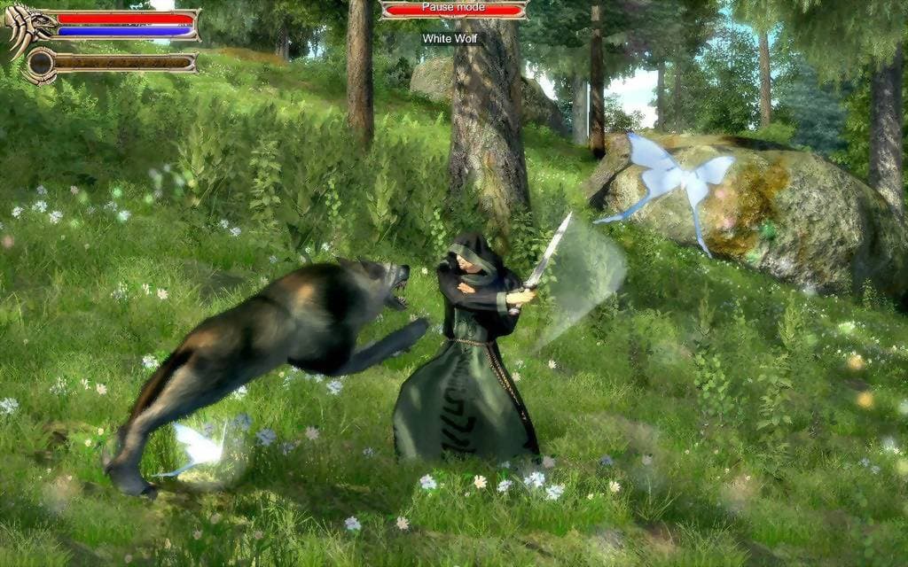 Two Worlds screenshot 4