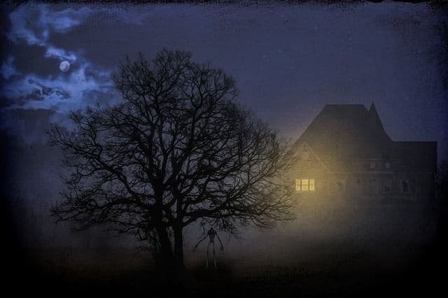 Something In The Night