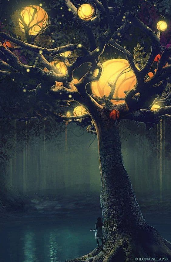 The Tree of Dreams