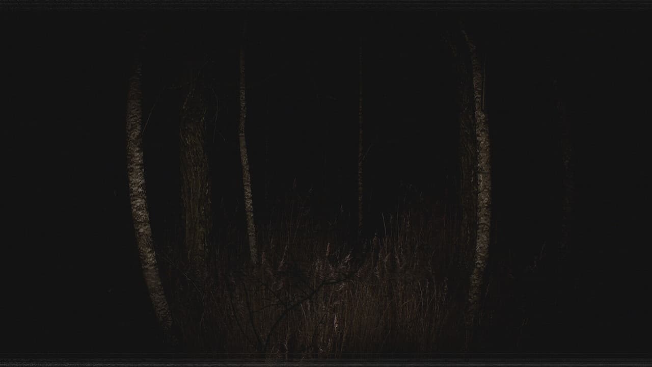 Paranormal VHS screenshot 2