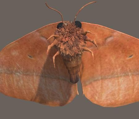 MOTH LAMP ADVENTURES