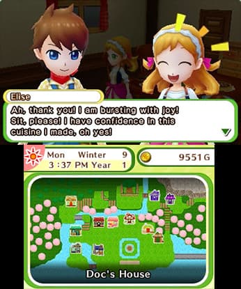 Harvest Moon: Skytree Village screenshot 6