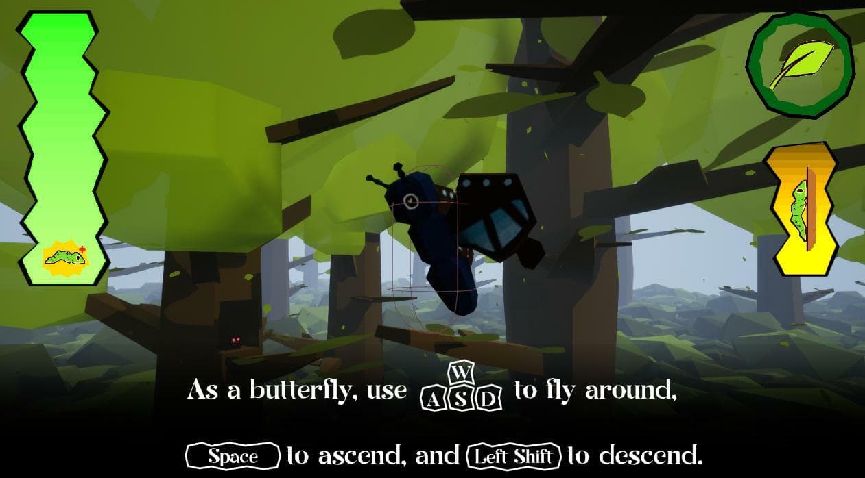 Finding Flora