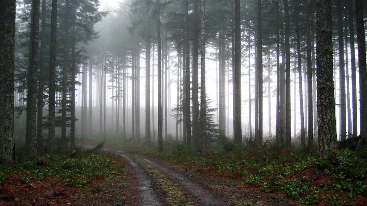 Hike from Hell