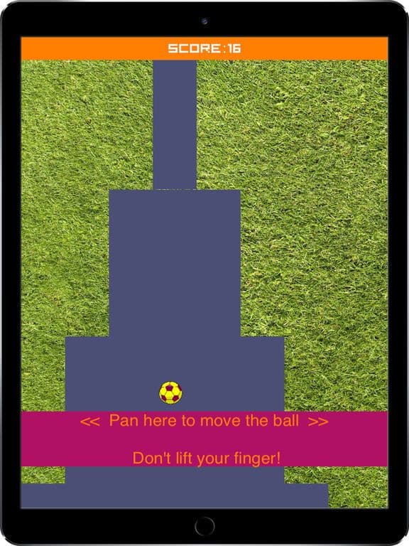The Path Scanner: Pan & move screenshot 2