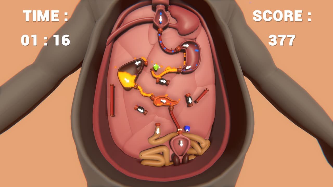 Almost Accurate Body Simulation (AABS) screenshot 6