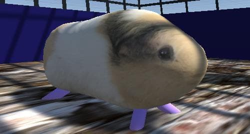 Guinea pig simulator