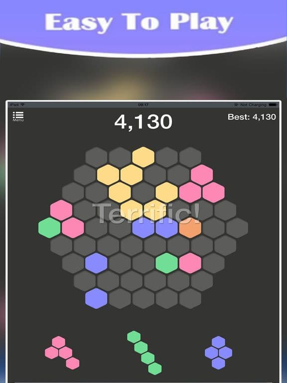 Hex Puzzle Legend screenshot 2