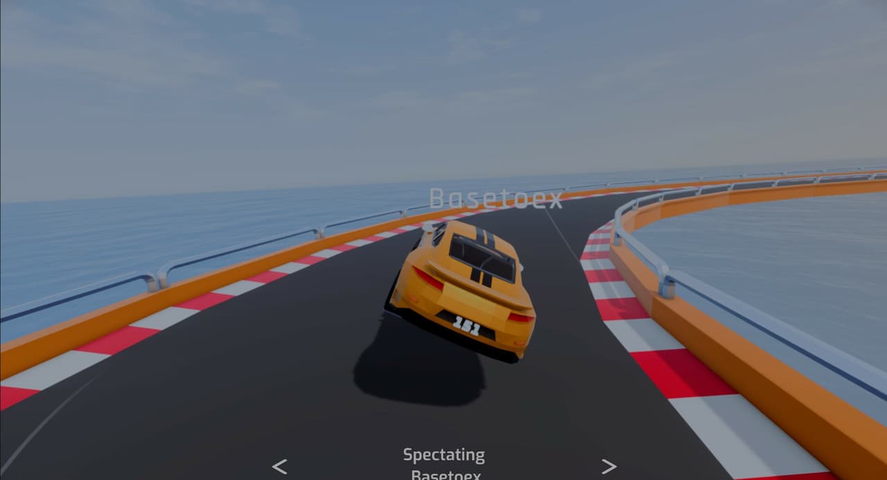 Race Project