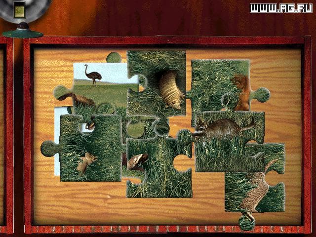 Digital Photo Puzzle screenshot 4