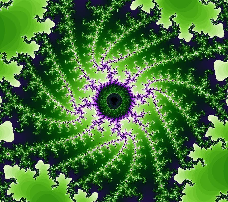 The Mandelbrot Experience