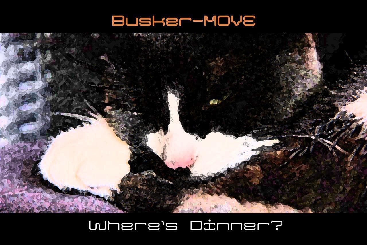Busker-Move: Wheres Dinner?