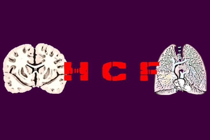 HCF screenshot 2
