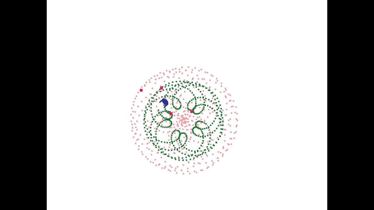 Rosette simulator screenshot 2