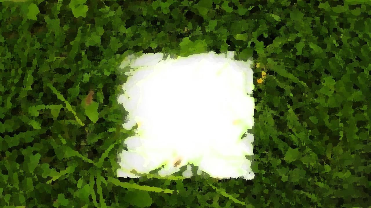 Letters in the Wind