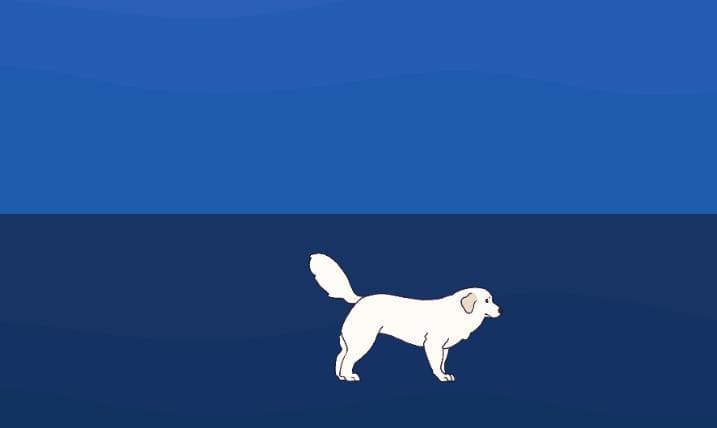 Dog Xper H screenshot 4
