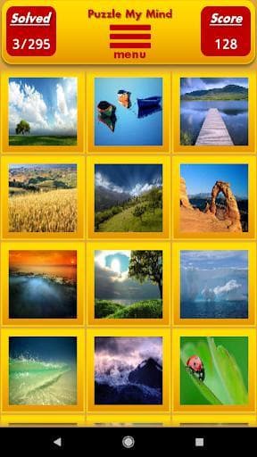 Puzzle My Mind Pro