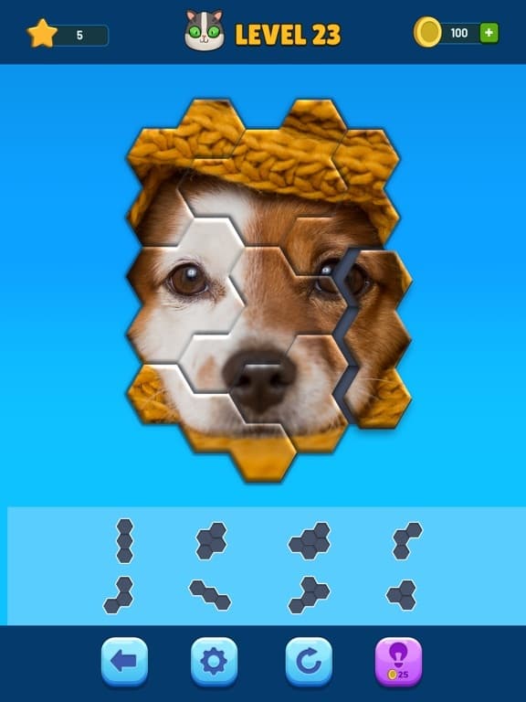 Hexa Jigsaw Puzzle screenshot 5