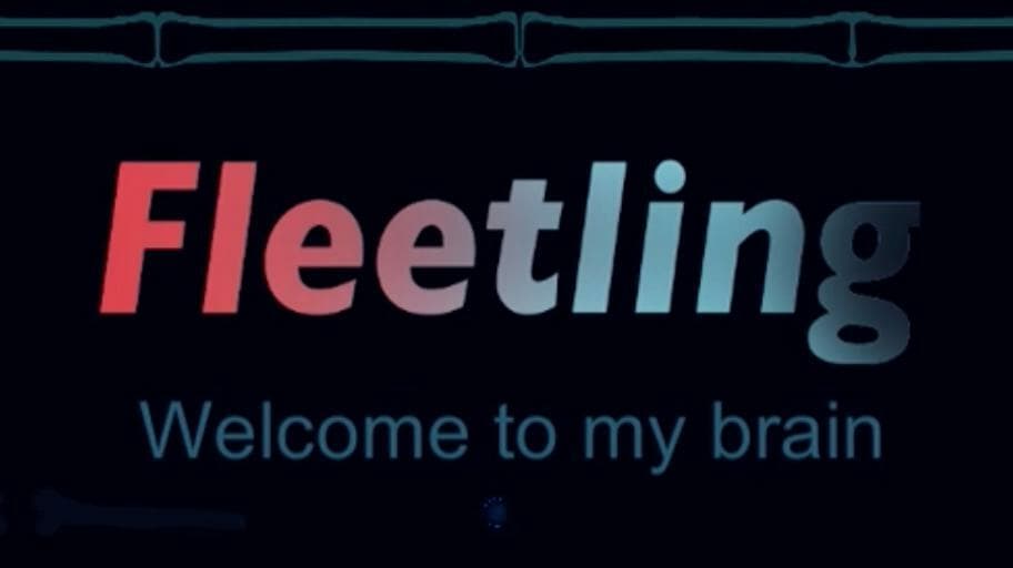 Fleetling screenshot 2