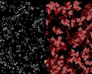 Game of Life #Exp 4 screenshot 2
