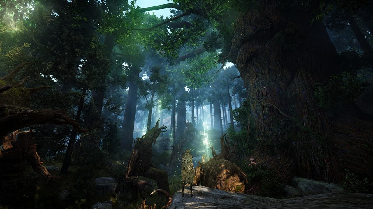 Black Desert Online screenshot 4