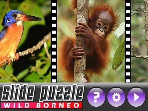Slide Puzzle Borneo (The land below the Wind) screenshot 3
