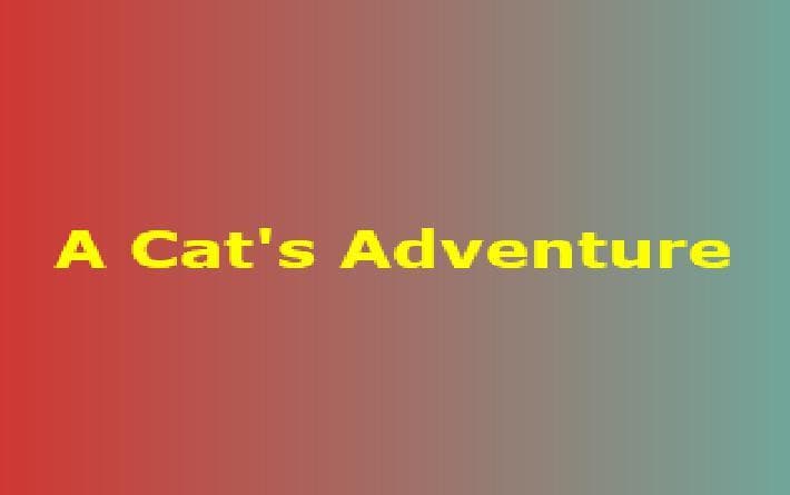 A Cats Adventure