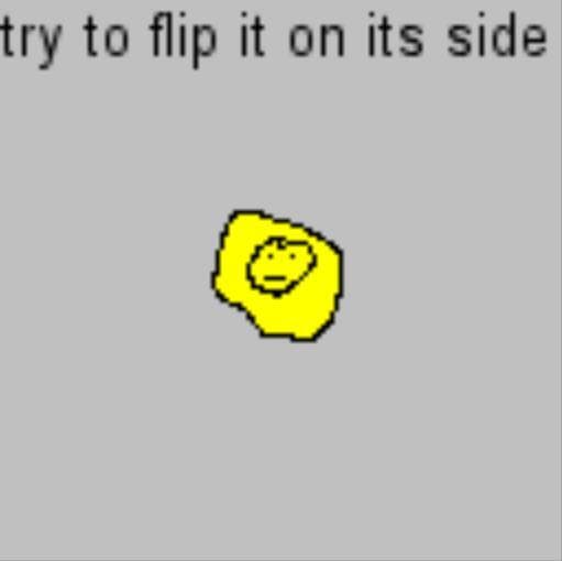 coin flipper 3000