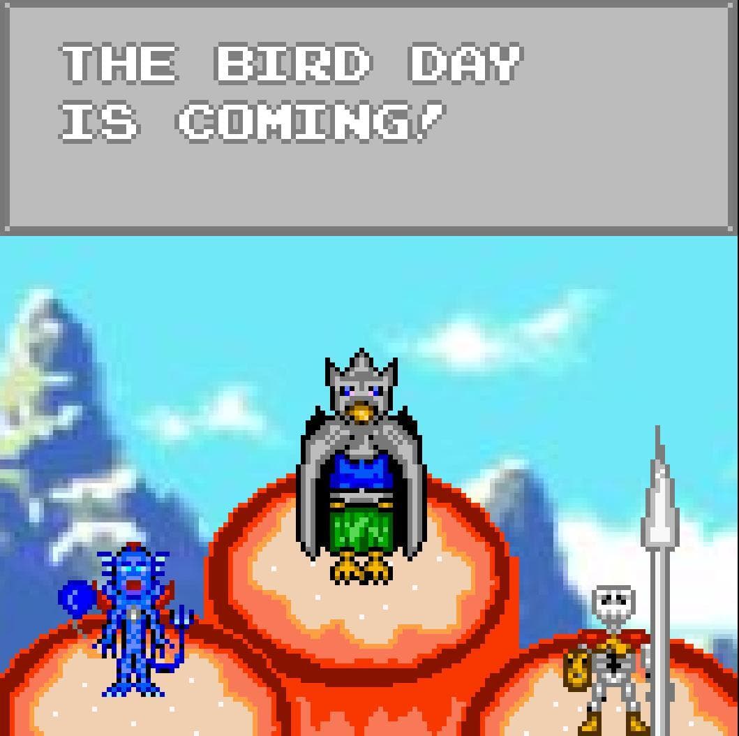 The bird day