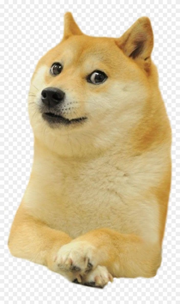 The Doge Clicker