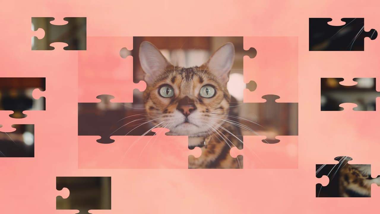 Jigsaw Puzzle Cats screenshot 6