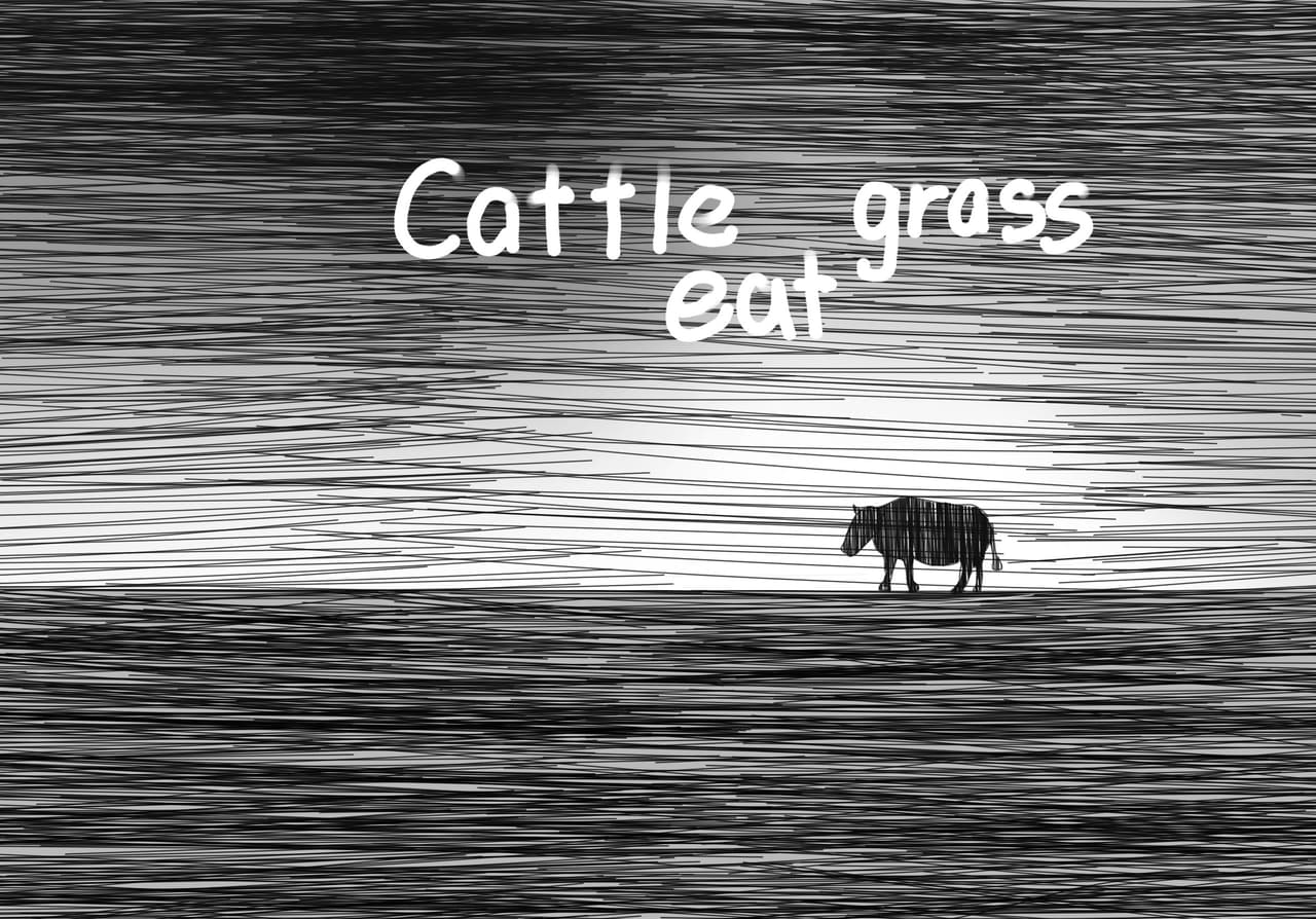 cattle eat grass