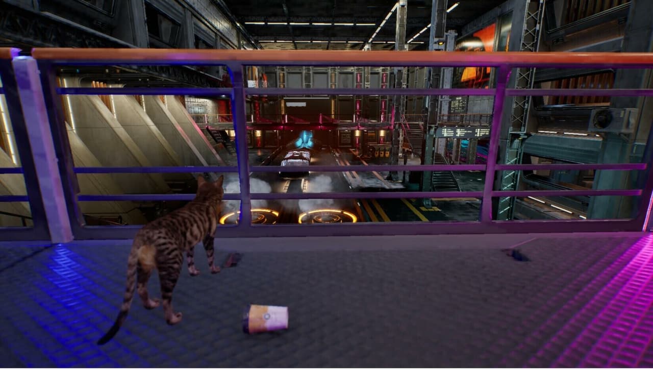 Cat Journey screenshot 5