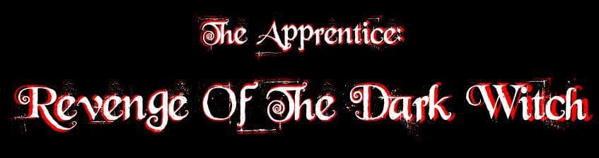 The Apprentice: Revenge of the Dark Witch screenshot 2