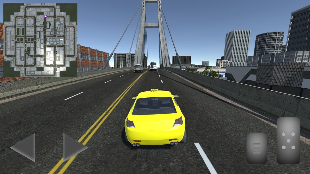 REAL TAXI DRIVER