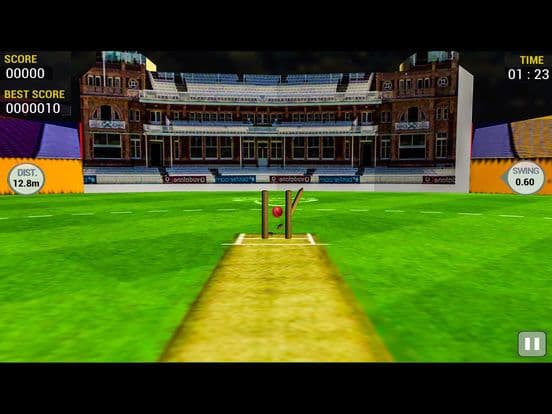 Cricket Run Out 3D screenshot 4