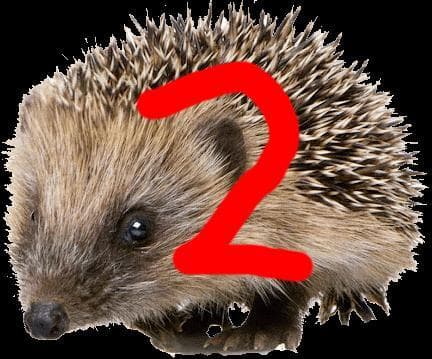 The Flying Hedgehog 2