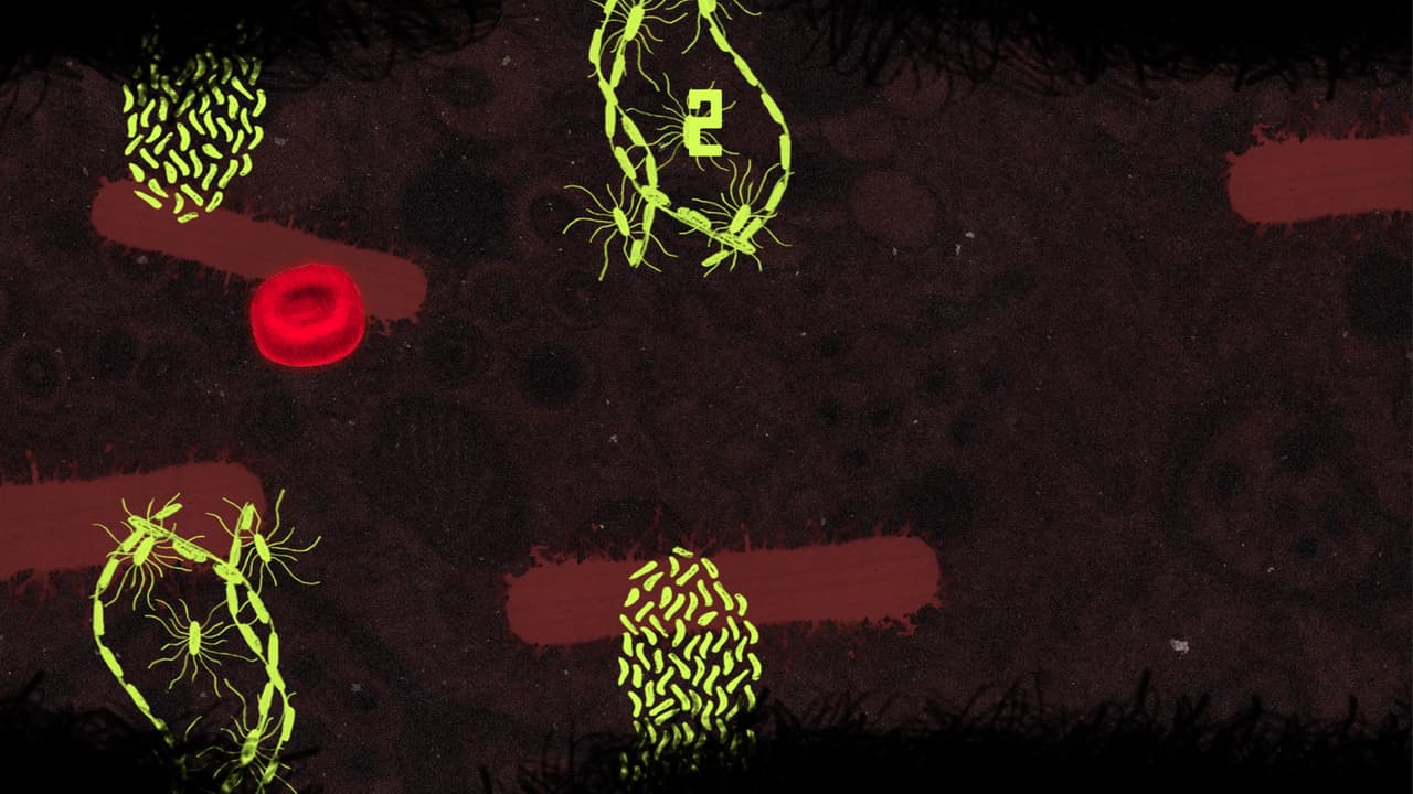Bacterium (itch) (BialoDaniel) screenshot 3